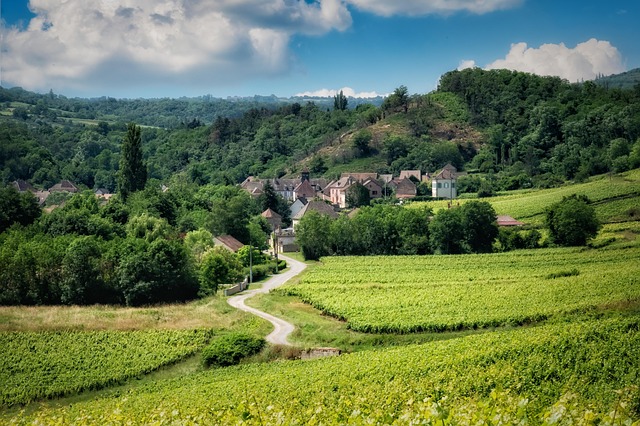 vineyard landscape rolling hills southwestern France partner farm