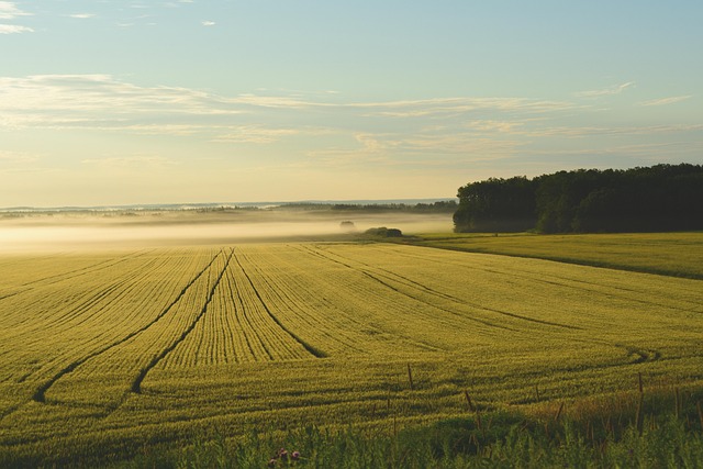 misty morning sunrise over French countryside rolling green hills farm buildings