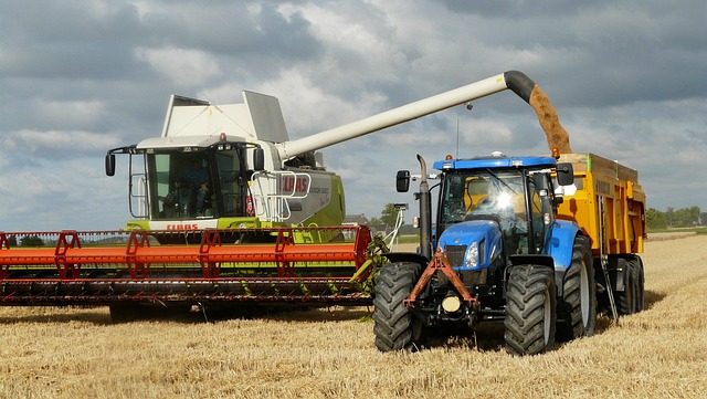 grain pouring from combine into trailer truck golden stream harvest collection