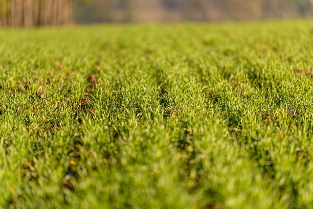 precision agriculture drone flying over green crop field modern technology