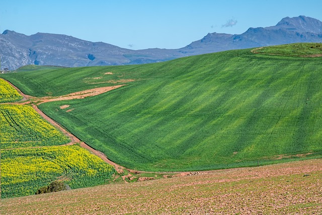 panoramic French countryside rolling green hills farmland Gers region