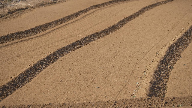 agronomist examining soil sample in field laboratory testing sustainable farming practices